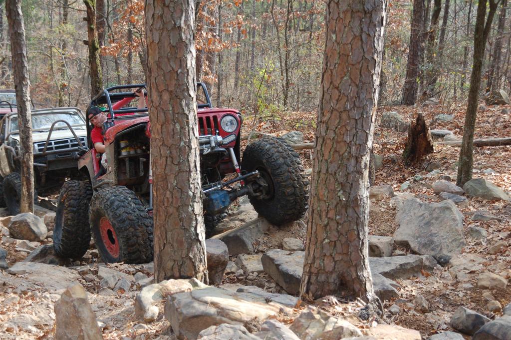 DSC_4519.JPG