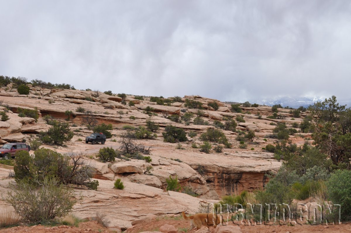 Cruise Moab 2010
Keywords: Moab,Moab,TLCA,Moab