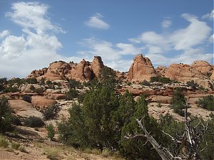 Moab_Trip_Day_4_Behind_the_Rocks_023.jpg
